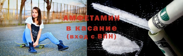 индика Ладушкин