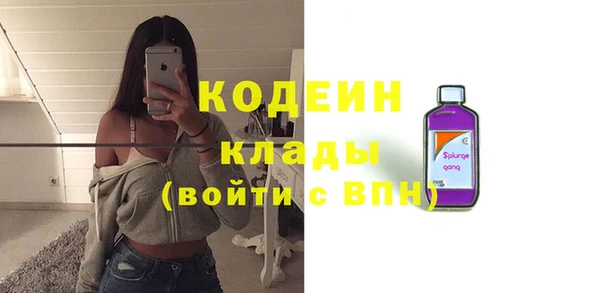индика Ладушкин