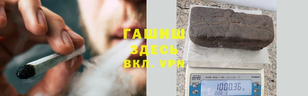индика Ладушкин