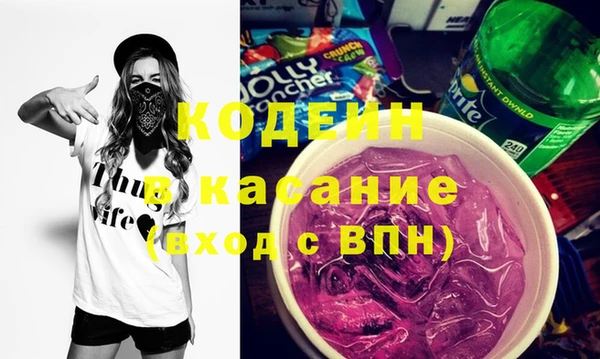 индика Ладушкин