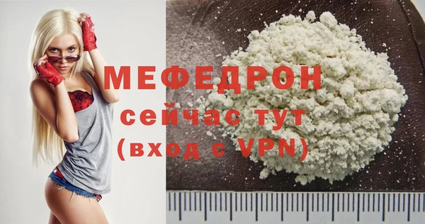 индика Ладушкин
