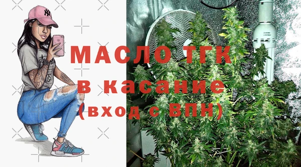 индика Ладушкин