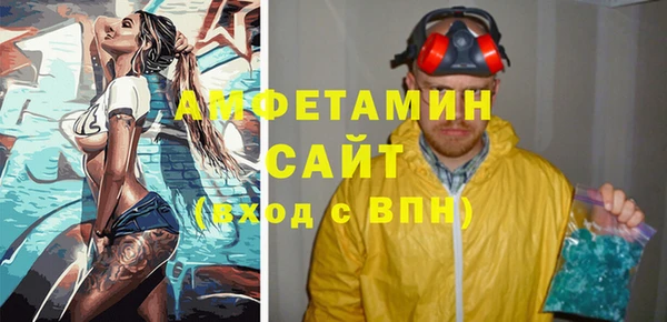 индика Ладушкин
