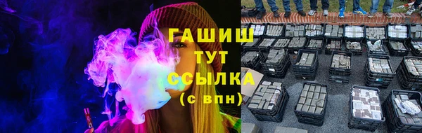 дмт Лагань