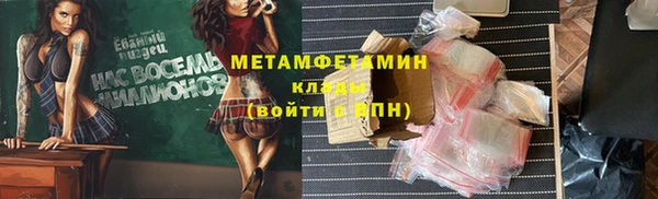 индика Ладушкин