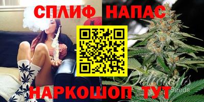 гашик Аргун