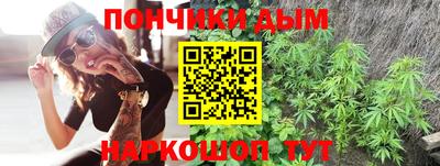 молекула духа Гатчина