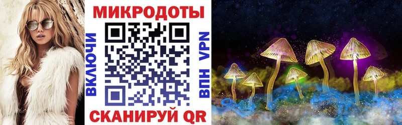 omg вход  Калининград  Галлюциногенные грибы мухоморы 