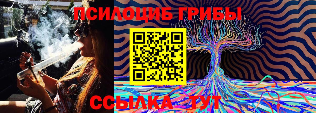 Псилоцибиновые грибы Psilocybe  Псилоцибиновые грибы MAGIC MUSHROOMS  Калининград 