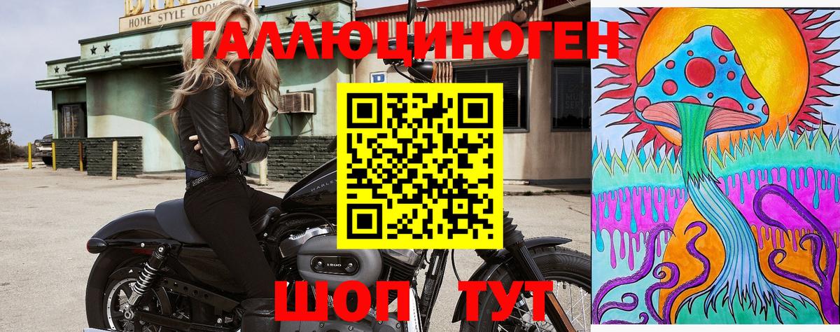 Псилоцибиновые грибы MAGIC MUSHROOMS Калининград