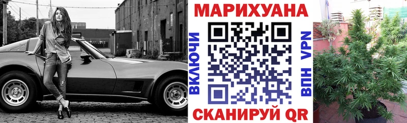 Конопля план  Калининград 